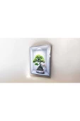 3d Yapışkanlı Duvar Sticker 30x40 Cm Mini Ağaç - 1