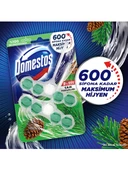 Domestos WC Blok 5 Li Güç Tuvalet Bloğu Çam Ferahlığı Maksimum Hijyen 100 Gr - 4