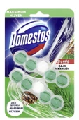 Domestos WC Blok 5 Li Güç Tuvalet Bloğu Çam Ferahlığı Maksimum Hijyen 100 Gr x 2 Adet - 2
