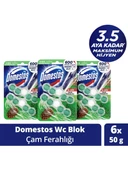 Domestos WC Blok 5 Li Güç Tuvalet Bloğu Çam Ferahlığı Maksimum Hijyen 100 Gr x 3 Adet - 1