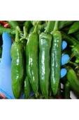 %100 Doğal Hatay Samandağ Biberi Paketli 1 Kg - 3
