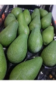 Avakado 1 kg thumbnail 1
