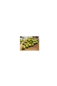 kırma zeytin 1 kg - 2