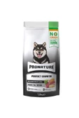 Hypo-allergenic Kuzu Etli Enginarlı Ve Patatesli Tahılsız Yavru Köpek Maması 1.5 Kg - 1