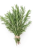 25 gram Doğal Taptaze Organik Biberiye Otu 25gr. Fresh Rosemary Dalından Evinize Taptaze - 3