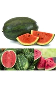 Dev karpuz tohumu geleneksel watermelon florida giant thumbnail 5