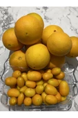 Washington Portakal 2 Kg Kamkat 1kg - 1