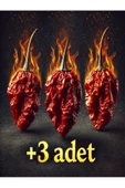 3 Adet Trinidad Moruga Scorpion Biberi Dünyanın En Acı 2.nci Biberi - 1