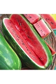 Jübile karpuz tohumu geleneksel jubilee watermelon seeds thumbnail 1
