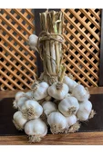 Sarımsak Orta Iri Boy(2 Kg) - 1