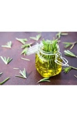 25 gram Doğal Taptaze Organik Biberiye Otu 25gr. Fresh Rosemary Dalından Evinize Taptaze - 5