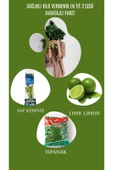 Detoks Paketi Sap Kereviz (2 ADET) Lıme Lımon (2 Adet ) Ispanak (1 PKT) - 1