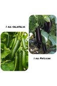 Salatalık patlıcan paketi - 1