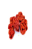 +1 Adet Trinidad Moruga Scorpion Biberi Kurutulmuş Birer Bir Orginal Biber - 2