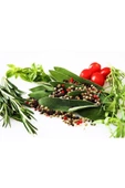Taze Biberiye(rozmarin)-(2 Paket) - 2