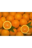 Yerli Organik Portakal 5 Kg Ilaçsız Organik Köyceğiz Portakalı - 2