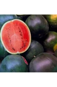 Siyah elmas karpuz tohumu geleneksel watermelon black diamond - 4