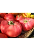 Pembe Ege köy domatesi tohumu atalık söğüşlük çeşit - 2