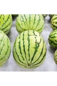 Erkenci karpuz tohumu geleneksel watermelon dixie queen thumbnail 6