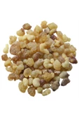 ORGANİK Ak Günlük Sakızı 250 gr ( Orjinal, Yeni Mahsül, Elenmiş ) - 2