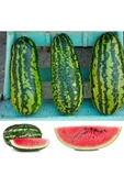 Jübile karpuz tohumu geleneksel jubilee watermelon seeds thumbnail 6