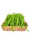 Acı kıl biber tohumu capsicum annuum - 3
