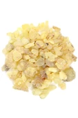 ORGANİK Ak Günlük Sakızı 250 gr ( Orjinal, Yeni Mahsül, Elenmiş ) - 1