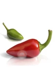 Mini kırmızı acı biber tohumu mini red hot chili pepper seeds - 1