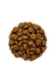 Kuru Köpek Maması 3 Kg - 1