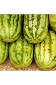 Jübile karpuz tohumu geleneksel jubilee watermelon seeds thumbnail 2