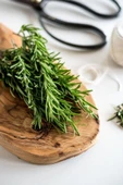 25 gram Doğal Taptaze Organik Biberiye Otu 25gr. Fresh Rosemary Dalından Evinize Taptaze - 4