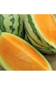 Orangeglo karpuz tohumu portakal karpuzu - 2