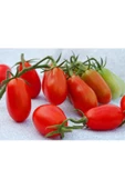 Atalık Bebek Üzümü domates tohumu sırık tip - 2