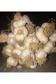 Sarımsak Küçük Boy(2 Kg) - 2