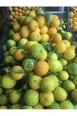 Portakal 5 kg. - 1