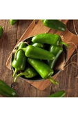 Tatlı jalapeno biberi tohumu jalapeno sweet - 5