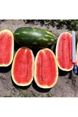 All sweet karpuz tohumu geleneksel all sweet heirloom watermelon seeds - 1