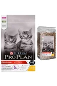 Proplan Kitten Tavuklu Yavru Kedi Maması- 2.5 Kg - 1
