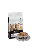 2kg Proplan Kitten Sağlıklı Başlangıç Tavuklu Paketlenmiş Kedi Maması - 1