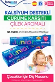 Foramen Çocuklar Için Çilek Aromalı Kalsiyum Destekli Çürüme Karşıtı Diş Macunu 50 Ml/60 gr - 3