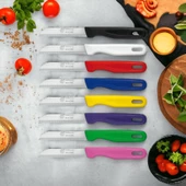 GGS Solingen 6'lı Meyve Bıçağı Delikli Siyah thumbnail 2