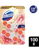 Domestos Tuvalet Bloğu Aroma Lux Yıldız Çiçeği & Ejder Meyvesi 100 Gr x 2 Adet - 2