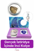 Özel Üretim Kutulu İstiridye İçinde Sevgiliye Anneye Gerçek İnci Kolye Hediye Kadın Aksesuar Seti - 1