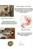 Doğal Avokado Kedi Nanesi Otu Topu Oyuncağı Yapışkanlı Yalama Sakinleştirici Catnip Yenilebilir Çimi - 3