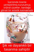 Premium Kurutulmuş Çiçekli Şık Çift Katman Cam Kupa Bardak Hediyelik Kulplu Fincan 250 ml - 2