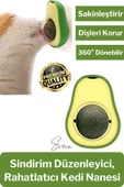 Doğal Avokado Kedi Nanesi Otu Topu Oyuncağı Yapışkanlı Yalama Sakinleştirici Catnip Yenilebilir Çimi - 1