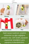 Doğal Avokado Kedi Nanesi Otu Topu Oyuncağı Yapışkanlı Yalama Sakinleştirici Catnip Yenilebilir Çimi - 2