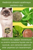 Doğal Avokado Kedi Nanesi Otu Topu Oyuncağı Yapışkanlı Yalama Sakinleştirici Catnip Yenilebilir Çimi - 5