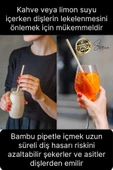 Özel Üretim Bambu 4 Adet Doğal Sağlıklı Yeniden Kullanılabilir Yıkanabilir Çevre Dostu Pipet Kamış - 5