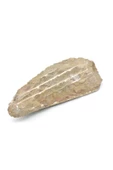 Hakiki Doğal Belemnit Fosili Kaya Parçası 648 Gram - 3
